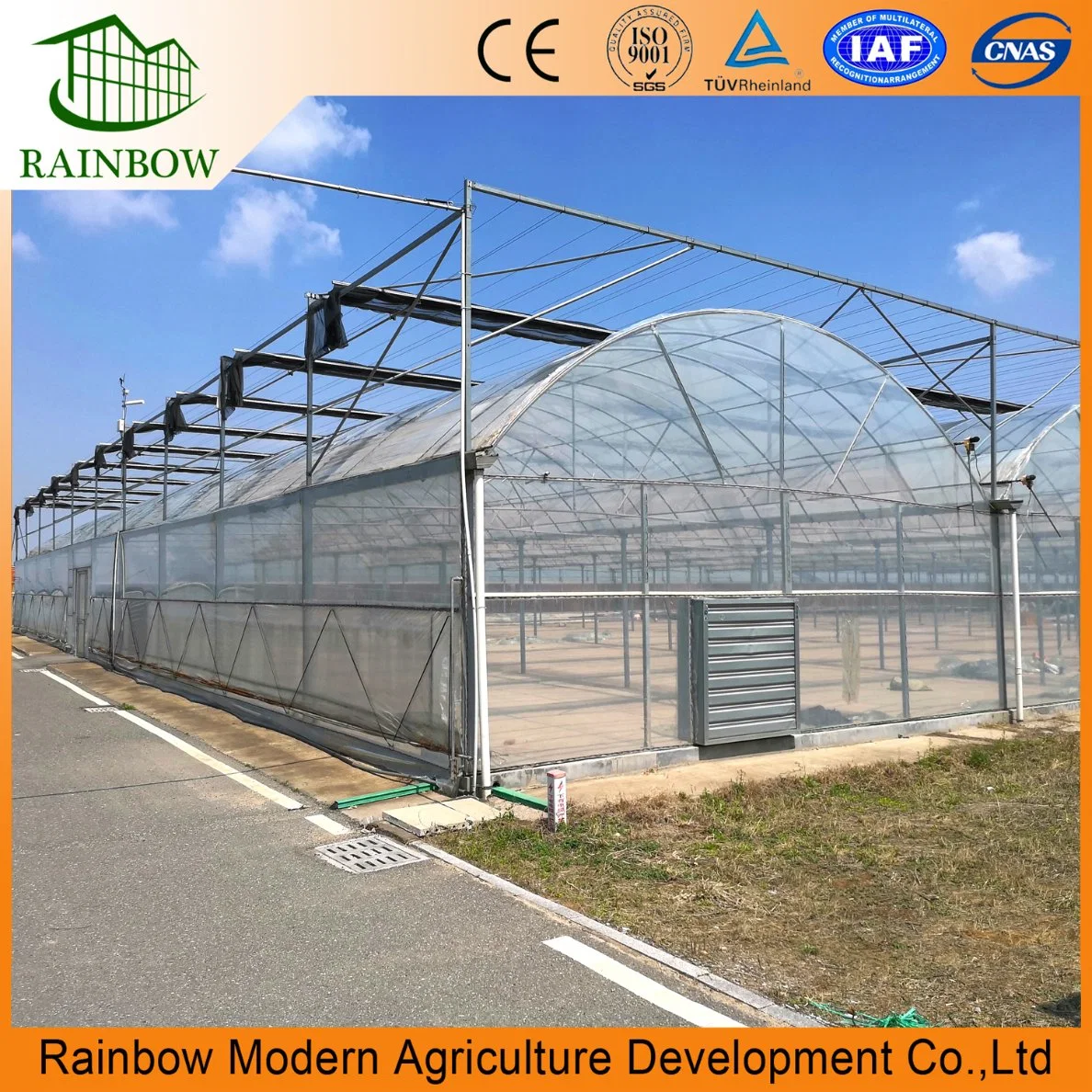 Chinese Multi Span Po/ PE Film Agricultural Greenhouse with Hydroponics Aquaponics System