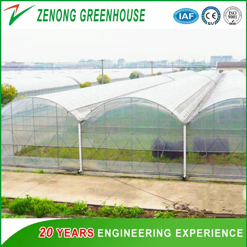 Commercial Greenhouse Film Greenhouse with Automatic System for Planting Tomota, Cucumber, Lettuce