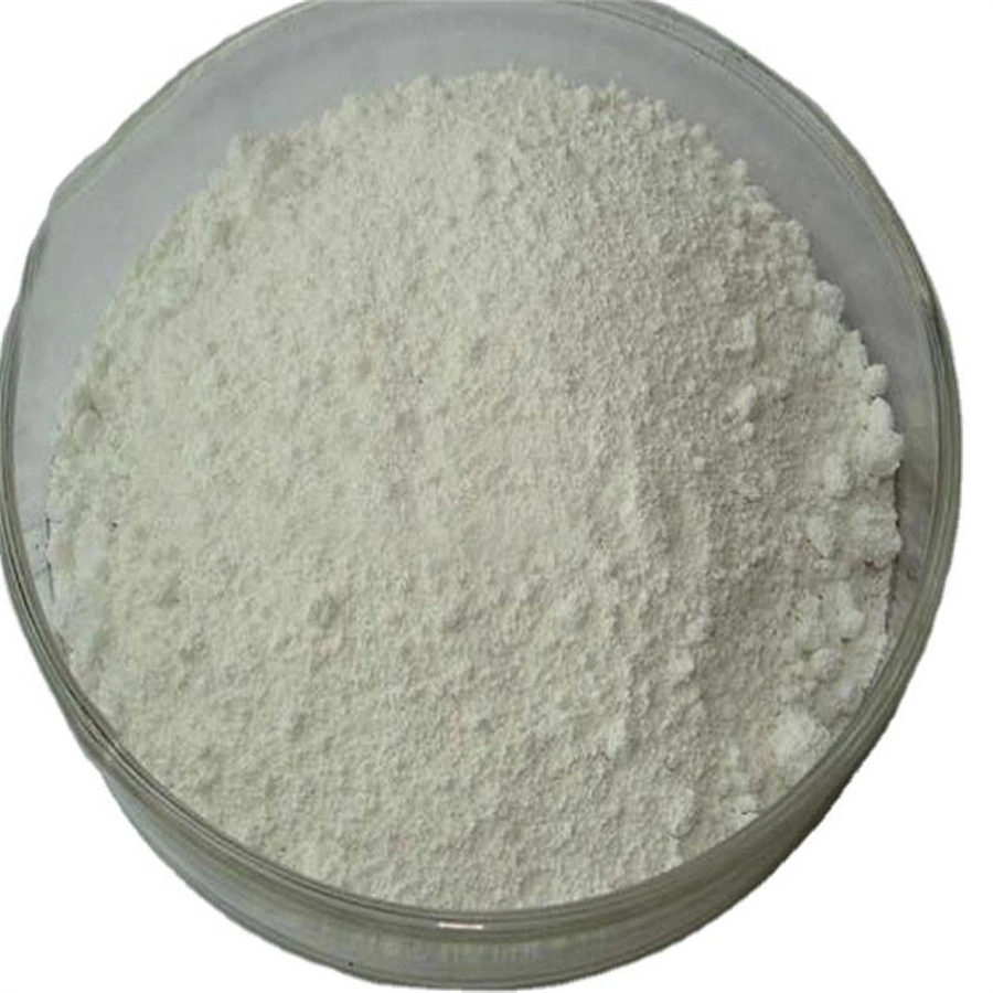 Anatase Rutile Titanium Dioxide Exterior Emulsion TiO2 Used Paint Coating Rubber Plastic Industry Grade China Supplier