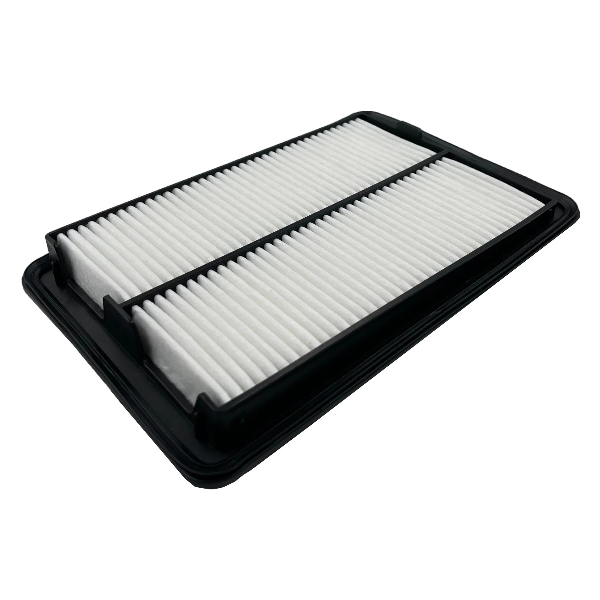 Auto Spare Part 16546-4ba1b/165464ba1A/C25040 for Japanese Car Air Filter