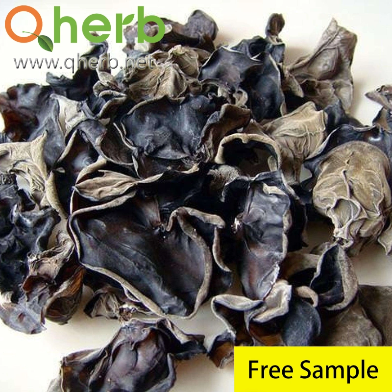 Заводская добавка Черный гриб Auricularia auricularia auriculicular Extract Free Sample