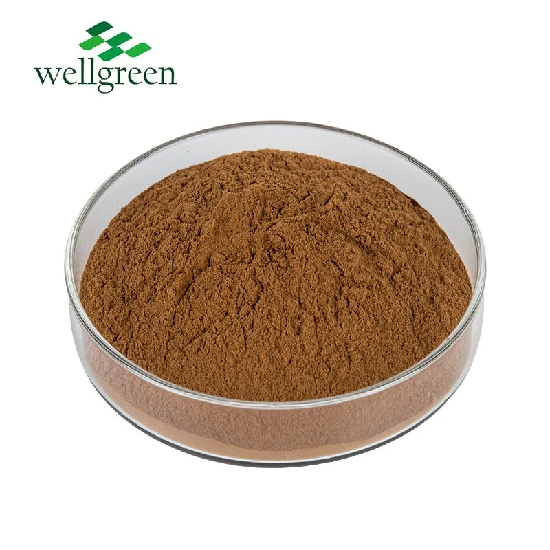 Wellgreen Nutritional Supplement Herbal Plant Valerian Officinalis Root Extract Valeric Acid Powder