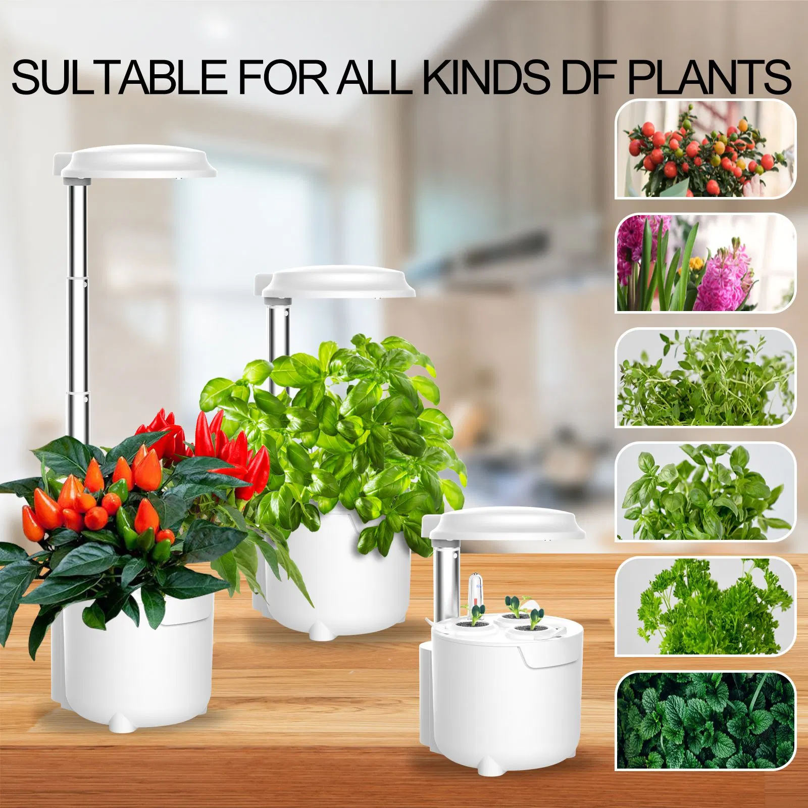 3 Pods Hydroponics Growing System Height Adjustable, Cute and Stylish Gardening Gift for Kids and Family CE FCC ODM OEM