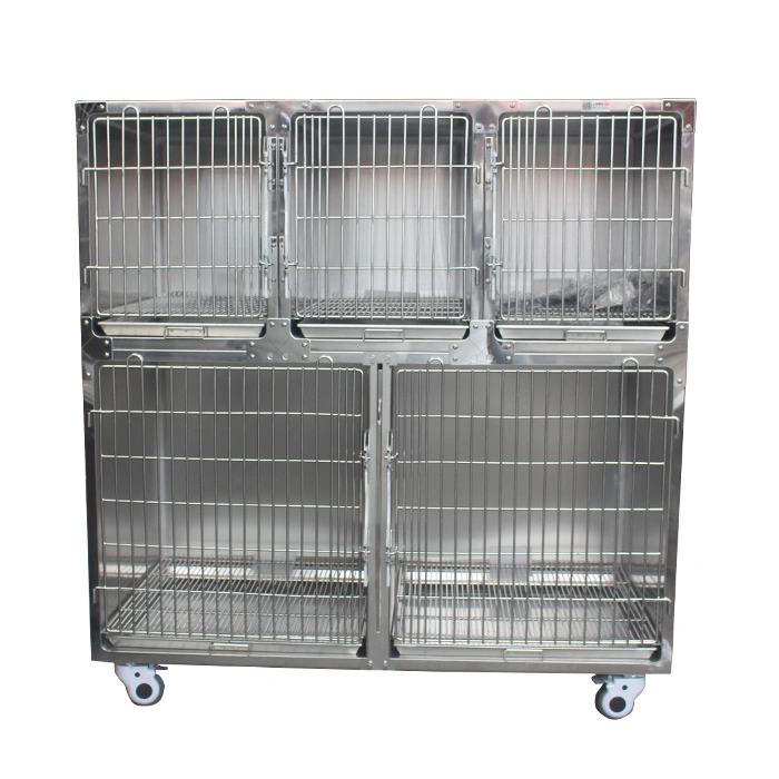 Veterinary Display Cage for Pet Store Pet Glass Cage Dog Cat Cages