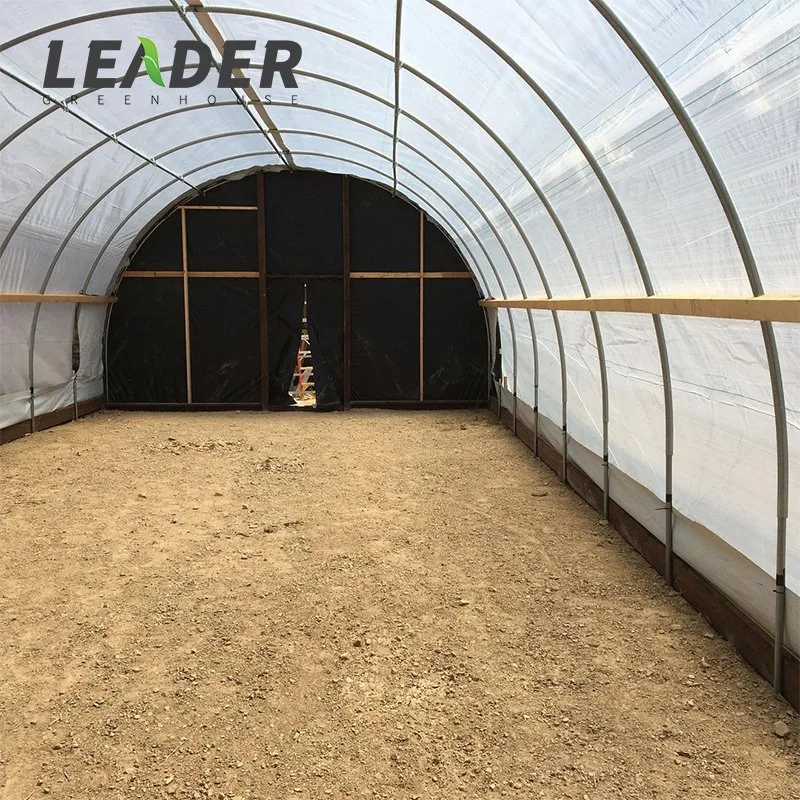 Low Price Agriculture Single Span Tunnel Film Greenhouses