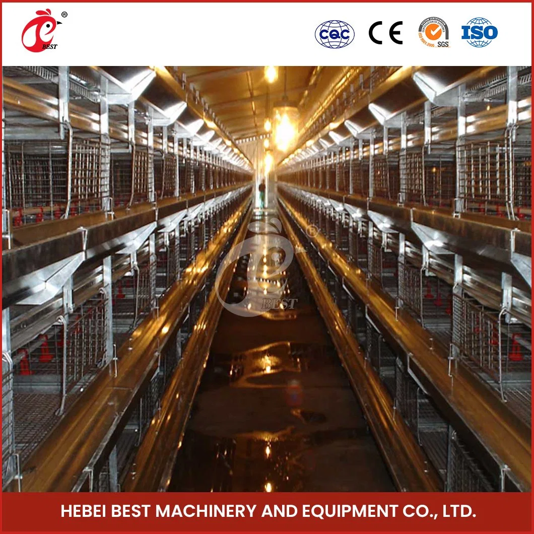 Bestchickencage China Alte Chicken Coop Hersteller H Frame Automatische Boriler Käfige OEM Customized Excellent Column Performance Broiler Cage System Chicken