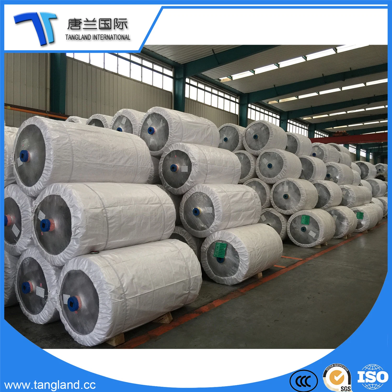 Chinlon Nylon 6 Industrial Friber/Tire/Tyres Dipped Cord Fabric