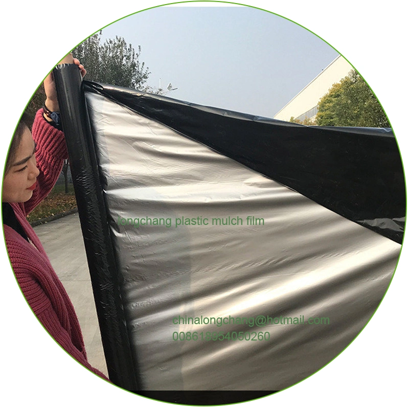 20 25 30 35 40 50 Micron Silver Black Agricultural PE Plastic Mulch Sheets for Prevention Grass Growth