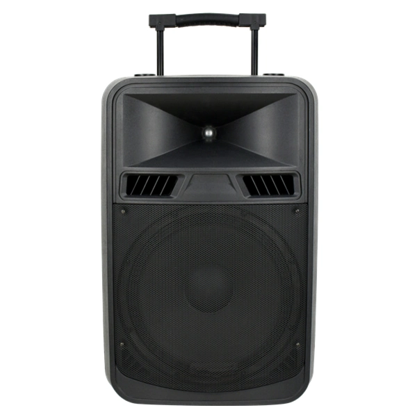 Luxury Stereo Outside Smart Private Model Professional Portable Trolley 15 Inch Audio Loud Speaker