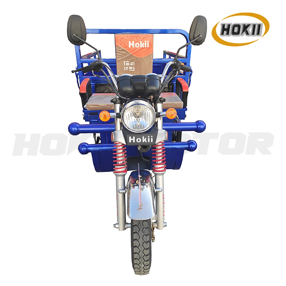 China Cheap Price 125cc Motorcycle 3 Wheel Mopeds Gasoline Engine Cargo Tricycle for Sale