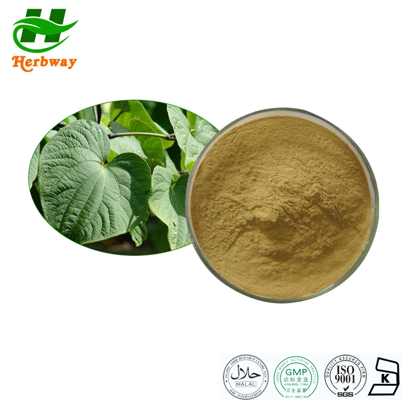 Herbway Kosher Halal Fssc HACCP Certified Botanical Extract Kavalactones Kava Root Extract