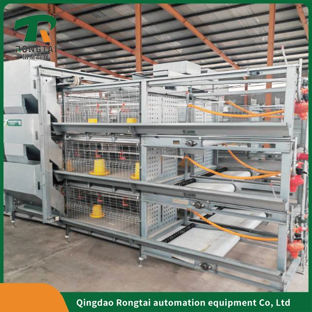 Cage automatique pour poules pondeuses en acier galvanisé à 4 niveaux d'équipement avicole pour élevage de poules pondeuses et de poulets de chair