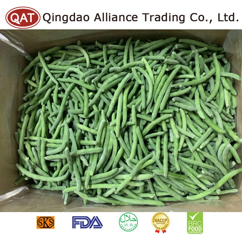 Proveedor de la fábrica de judías verdes a granel IQF congelado toda la cadena de green beans orgánica certificada para exportar