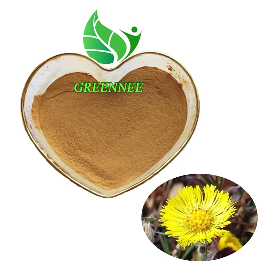 High Quality Coltsfoot Leaf Extract Coltsfoot Extract Powder