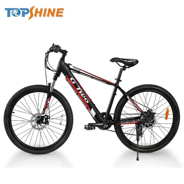 250W 36V 14A Mountain Electric Bicycle with CE En15194 Certificate