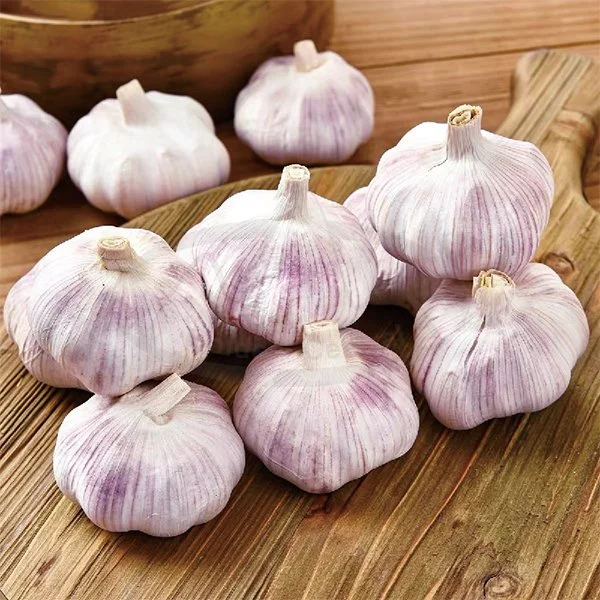 China Hot Sale Fresh Garlic 200g Pack, Normal White Garlic