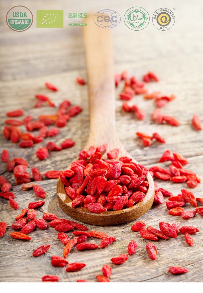 Las Bayas de Goji rojo desecado natural China comida saludable de la planta orgánica