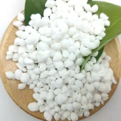 Best Quality and Hot Sale White Granule Nitrater Fertilizer Ammonium Sulphate Granular