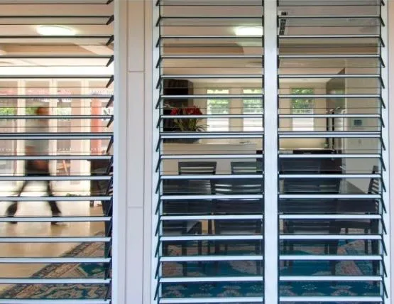 Built in Insulated Factory Custom Louver Glass Window with/Without Black Painted Color