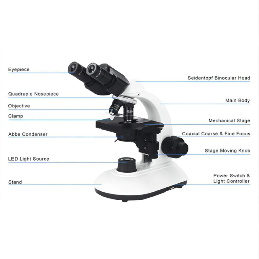 Mini-instrument de laboratoire système optique microscope biologique binoculaire pour le médical Recherche