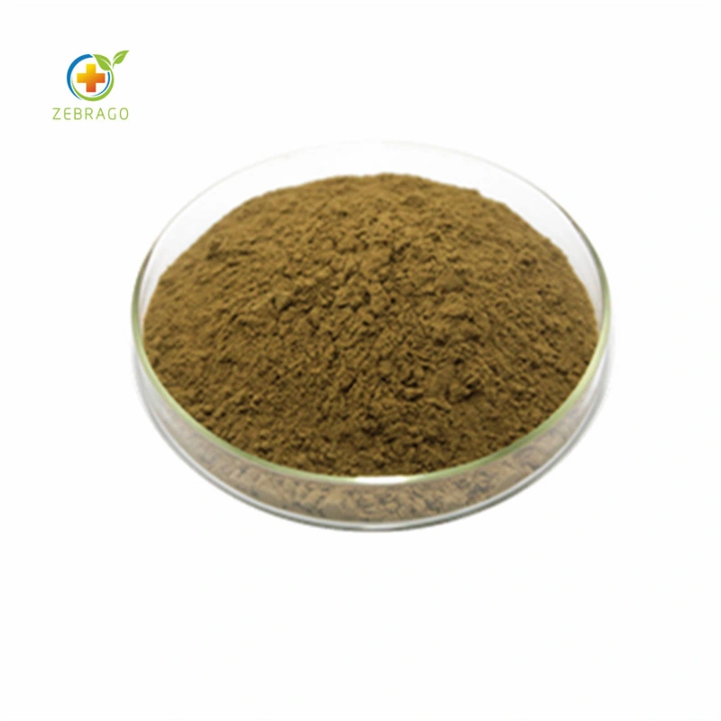 Organic Aged Black Garlic Extract Powder