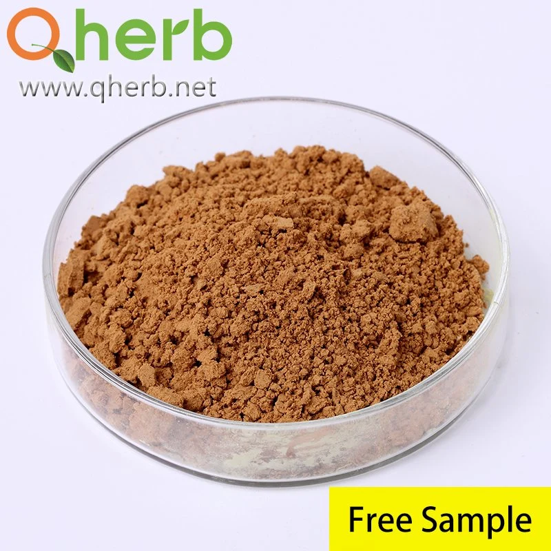 100% Natural Burdock Root Extract Powder Arctigenin 10%