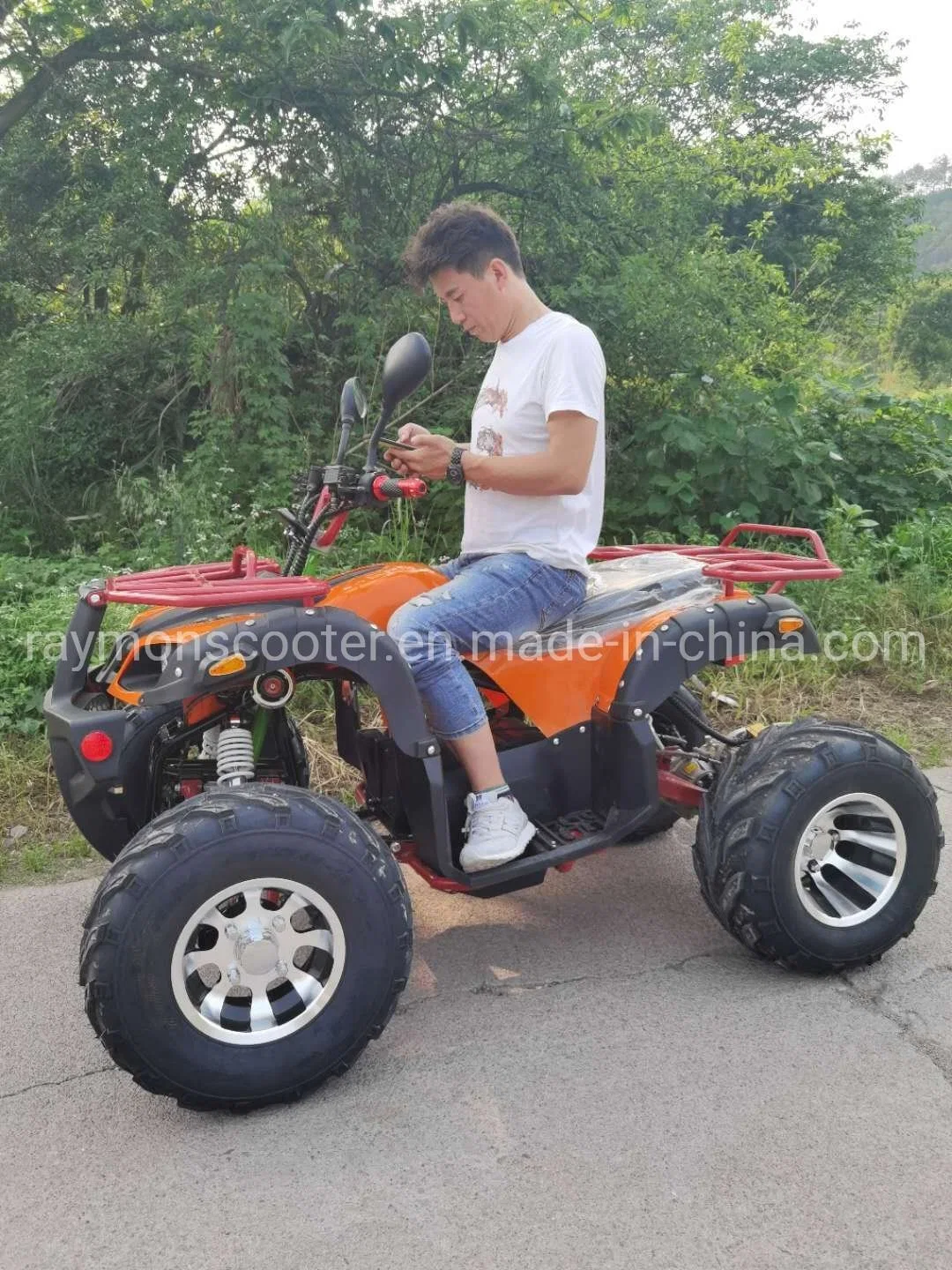 3000W Motorcycle Power 4X2 Electric Adult ATV