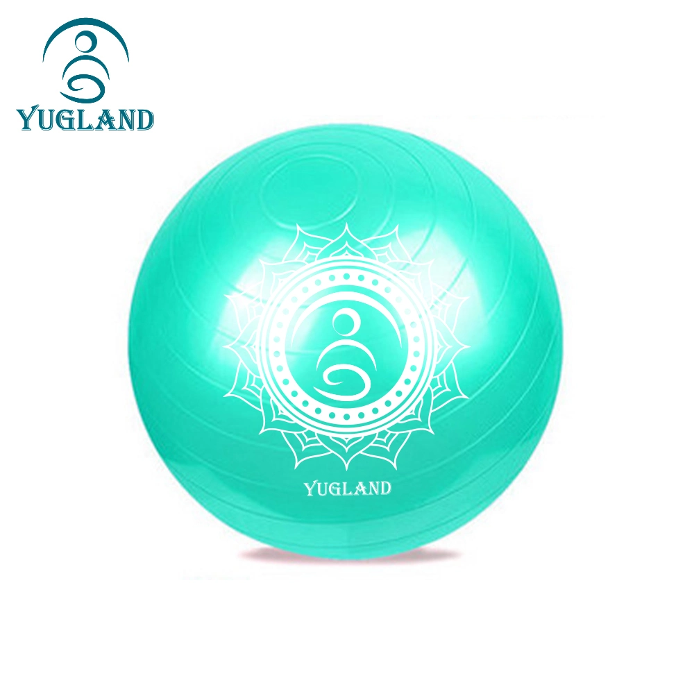 Yugland entrenamiento gimnasia ecológica 65cm Gimnasio Ejercicio yoga Ball