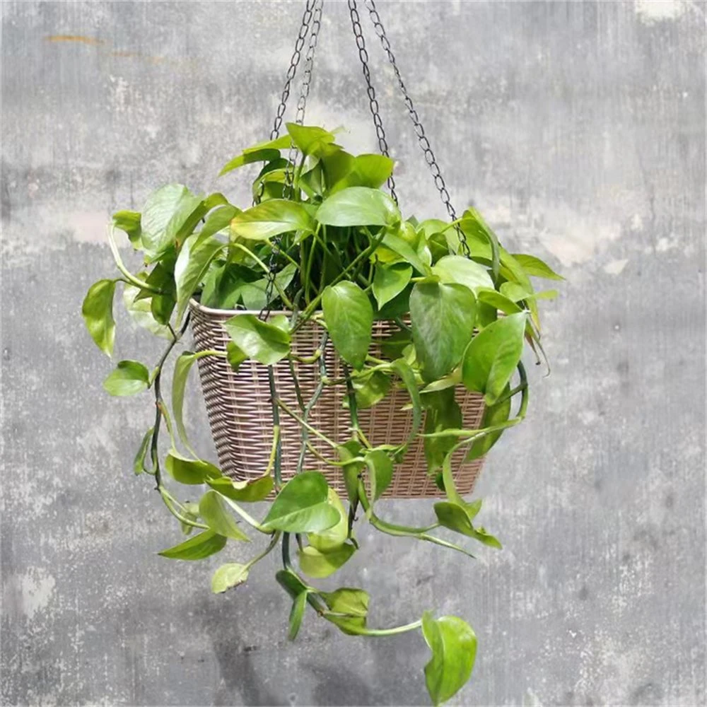 Factory Sales Rattan Series Soilless Culture Hanging Basket Flowerpot