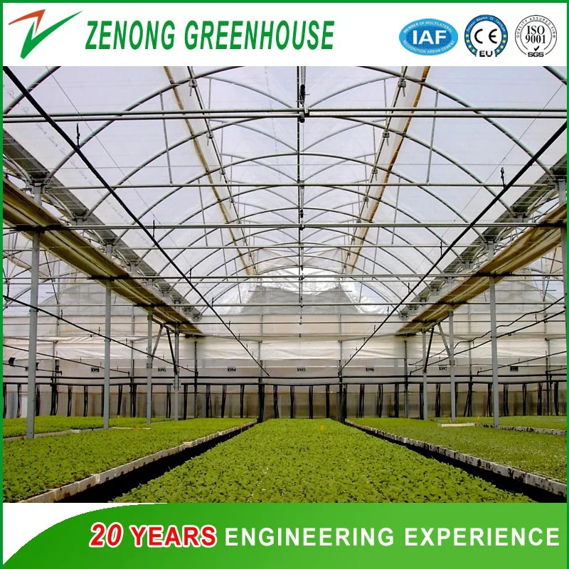 Landwirtschaft Film Gewächshaus Polycarbonat / Glas Wandfolie Dach Green House Double Schicht-luftgefüllte Foliengewächshäuser für den Mittleren Asien-Distrikt/Uz/KZ/Tkm usw.