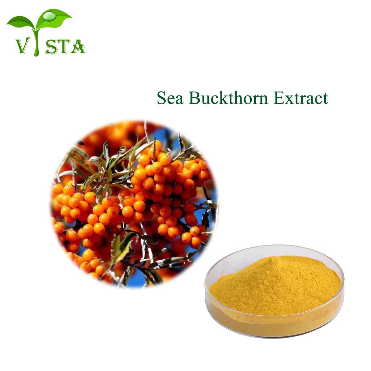 Suplemento de Salud Grado farmacéutico Natural Seabuckthorn Extracto de fruta polvo sea-Buckthorn Extracto de Seabuckthorn