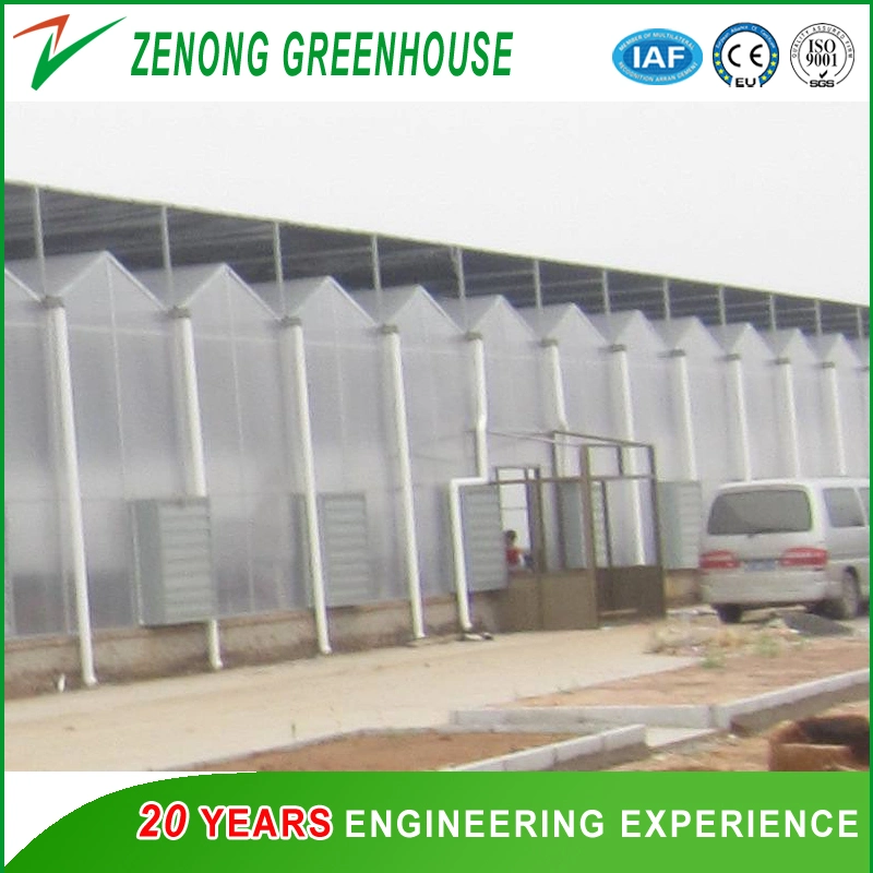 Agricultural Intelligent PC Sheet Greenhouse for Planting/Seed Breeding/Experiment/Econology Eco Restaurant