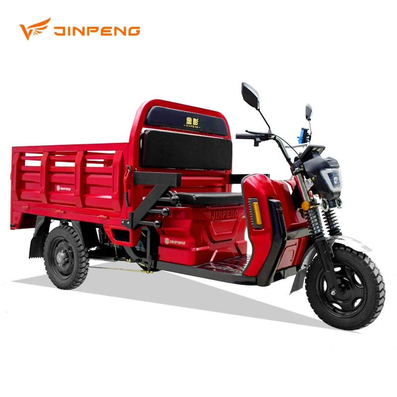 3 Wheel Electric Tricycle Three Wheels Adult Cargo Electric Trike
