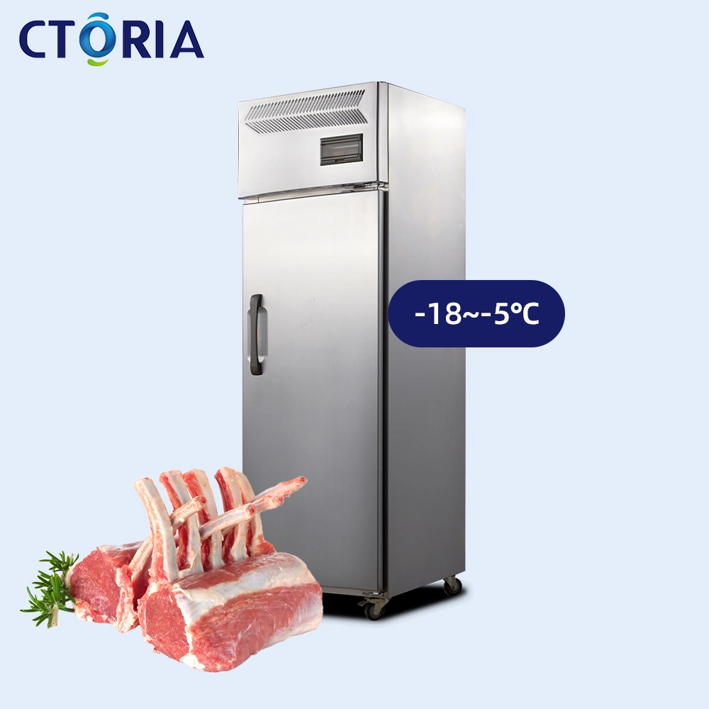 Food Grade Ctoria Foaming Door Professional Ingredient Storage Vertical Freezer Commercial Refrigerator