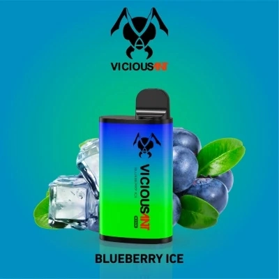 Fast Dilivery Vape E-Liquid cigarrillos 5000bocanadas sabores doble pluma Vape desechables