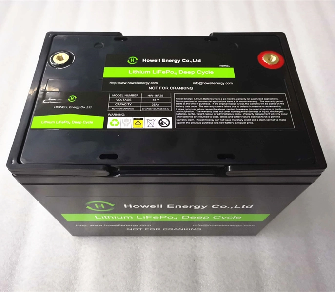 Deep Cycle Lithium Eisen Phosphat 48V 25Ah LiFePO4 Batterie für Überwachungskameras