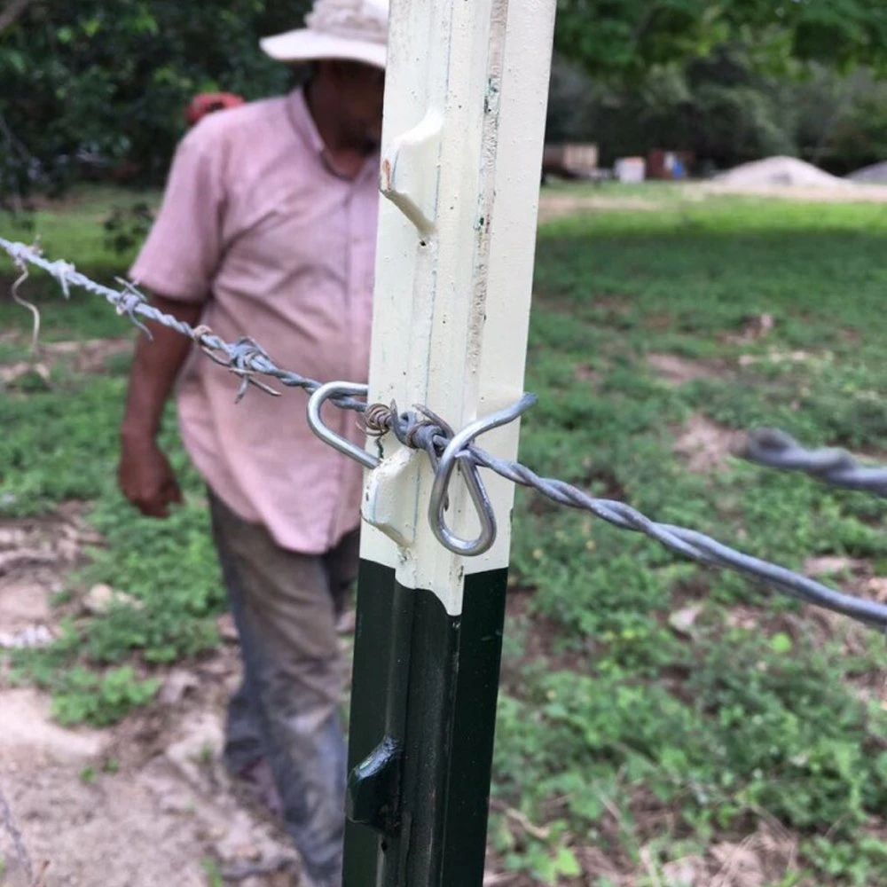 Preço Low American Type studded T Fence Post com âncora