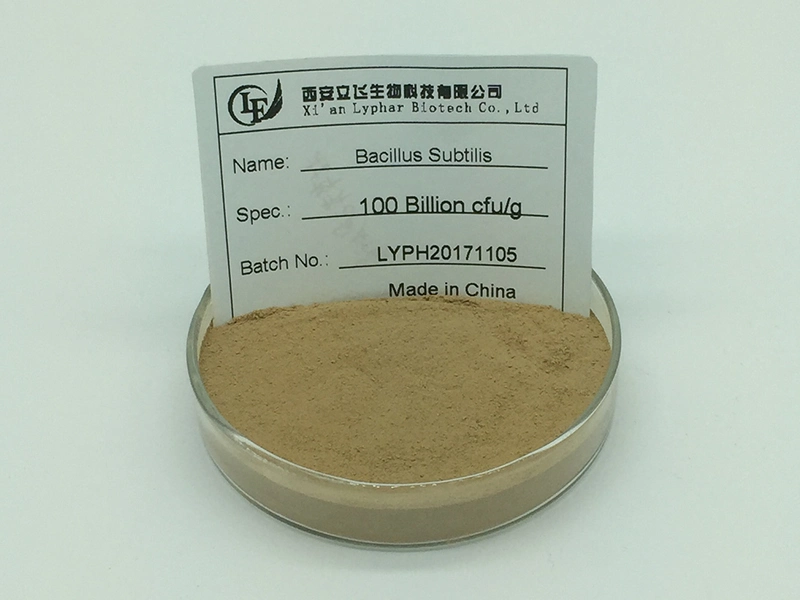 Hot Sell Bacillus Subtilis Probiotic Powder