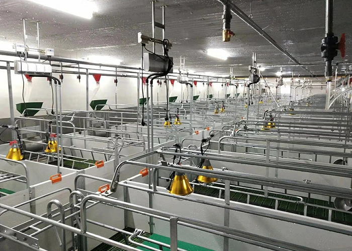 China Manufacturer Pig Equipment Swine Farrowing Pen