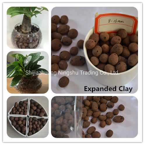 100% Natural crescente Médio Ceramic Leca bolas expandidas para potted Drenagem ou decoração de plantas