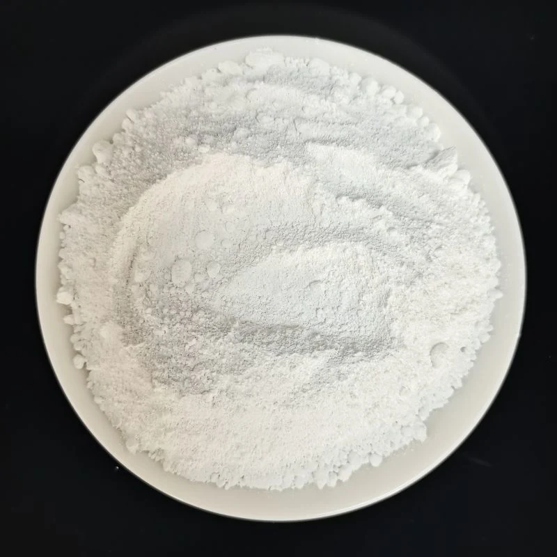 High quality/High cost performance  Titanium Dioxide Casa 13463-67-7 TiO2 Powder Chinese Good Priceindustrial Grade