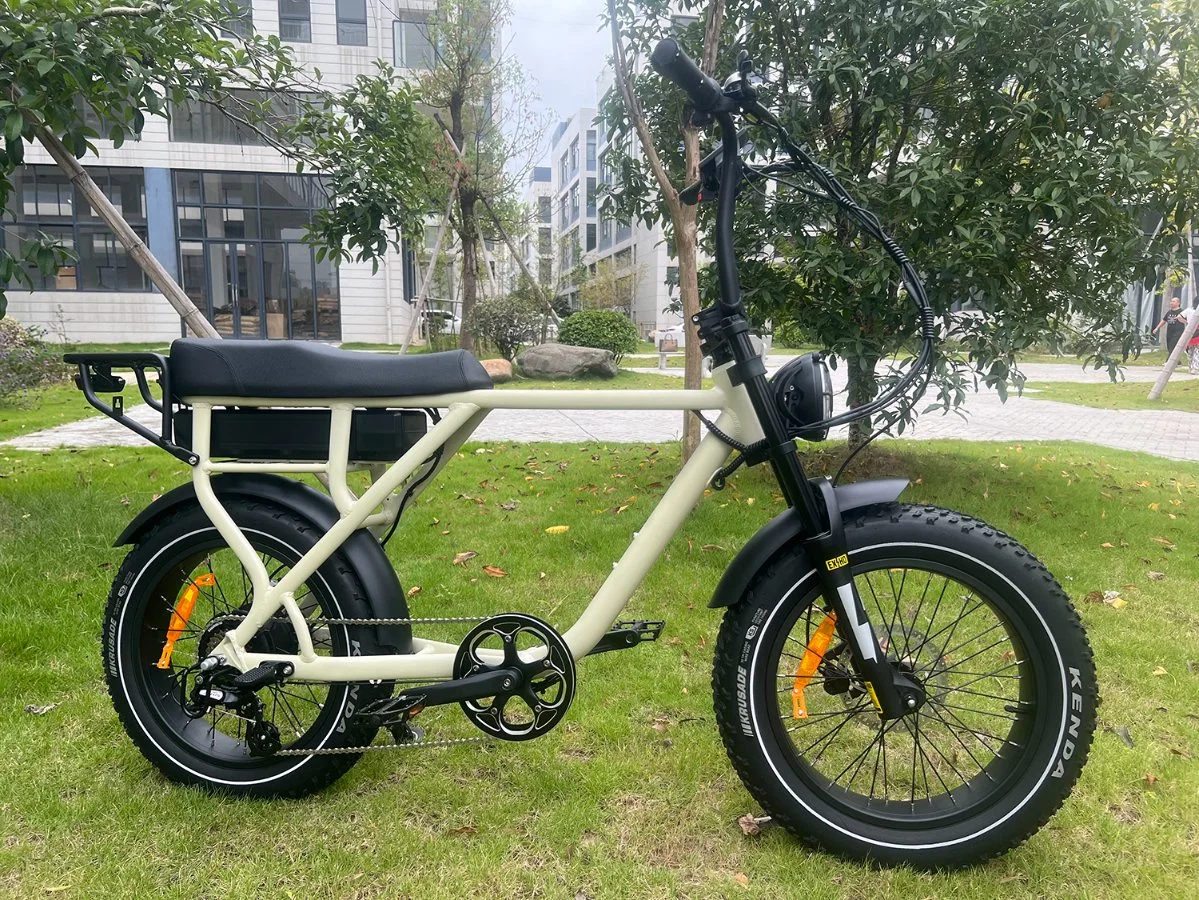 Original Factory Sales 750W 1000W Hinterrad-Antrieb schnell Electric Mountain Bike Surron Retro Fat Ebike