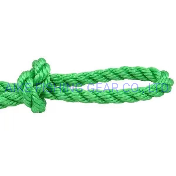 PP/PE/HDPE/Nylon/Polyethylene/Polypropylene/Polyester/Polyamide/Plastic/Kuralon/Twisted/Braided/Clothes/ 2mm to 32mm Braided Ropes