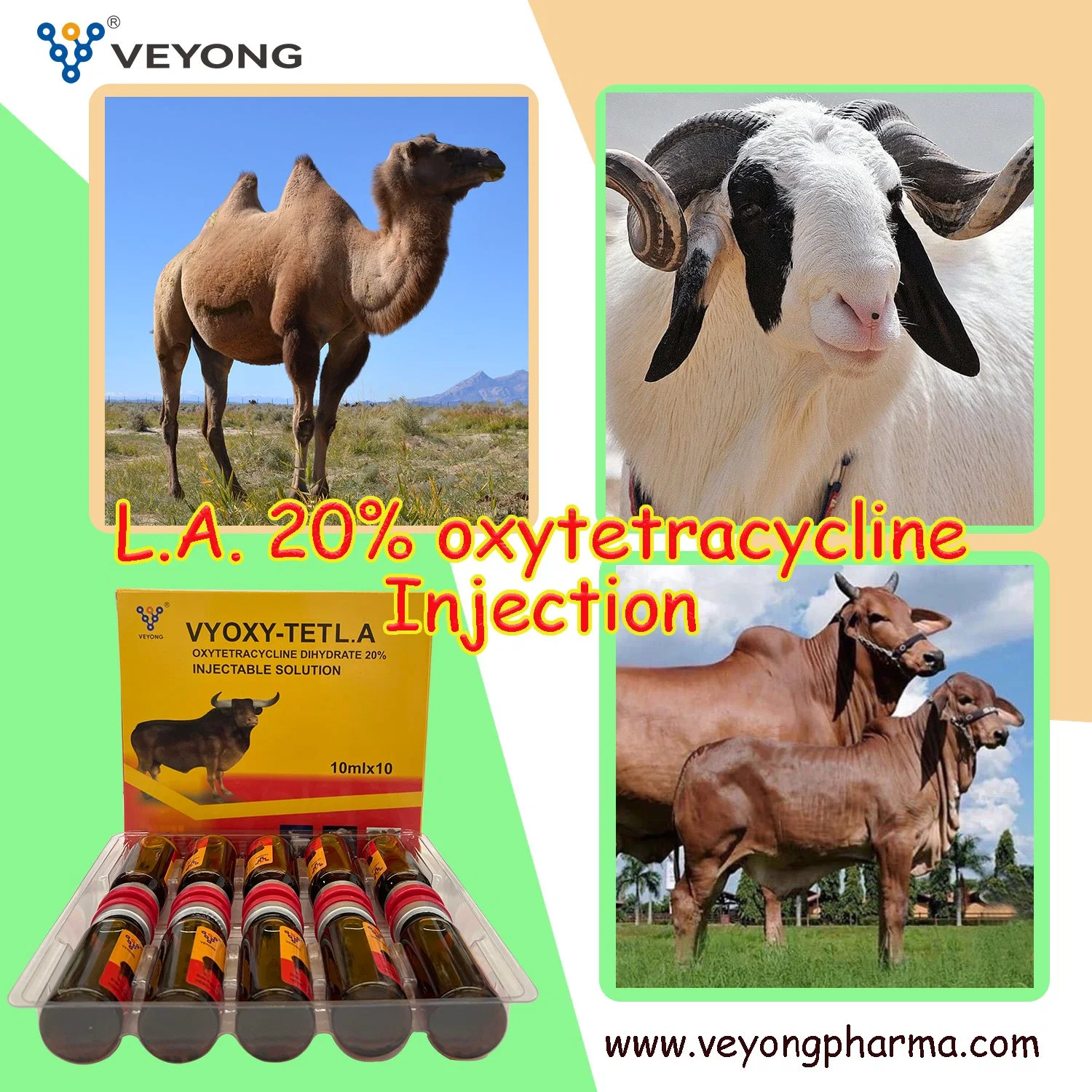 Pharmaceutical Veterinary Medicine Oxytetracycline Injection 10%, 20%, 30% GMP Certified Manufacturer Wholesaler