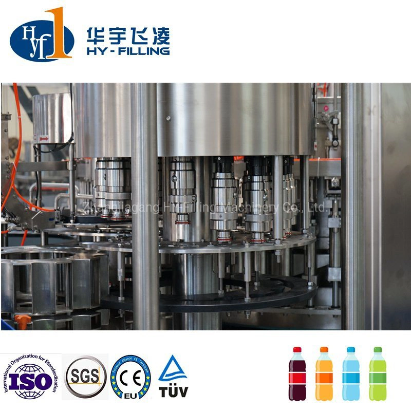 Customized 6000bph 500ml Pet Bottle Carbonated Soft Drink Cola Filling Machine