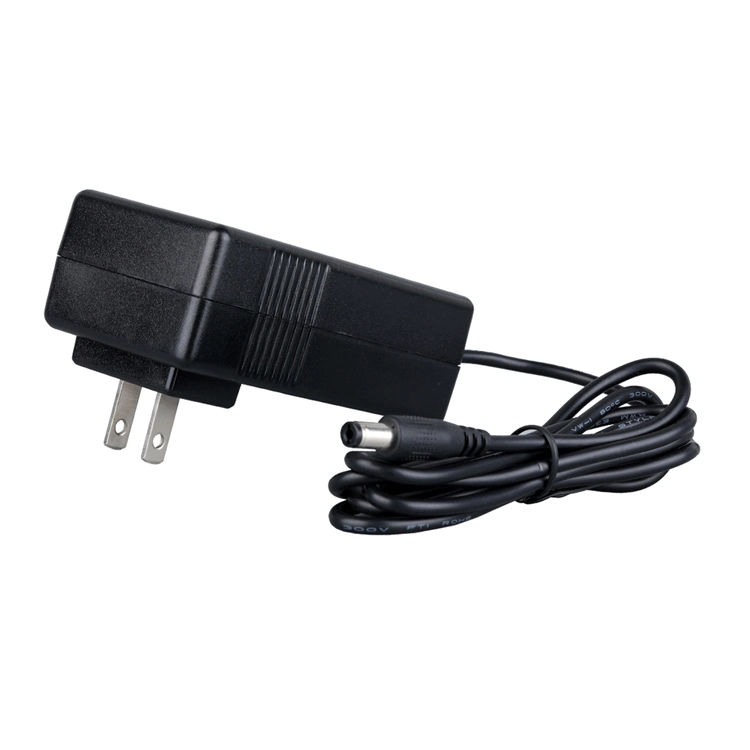 48W Power Suppliers 5V 6V 7V 8V 9V 10V 12V 14V 19V 24V 0.5A 1A 2A 3A 3.75A 3.15A 4A 5A 0.25A 750mA AC DC Adapter Switching Power