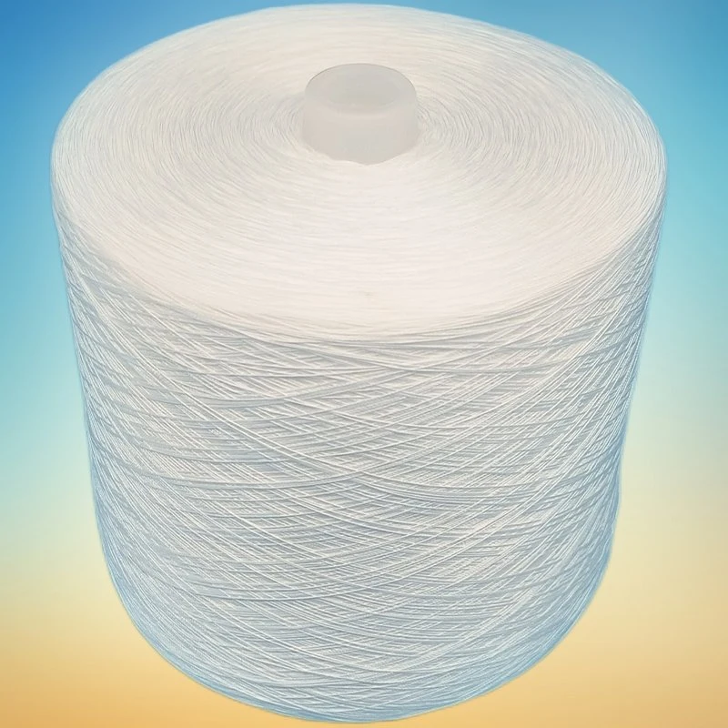 China Manufacturer Dye Tube 100% Spun Polyester Yarn 30/2 for Sewing Thread