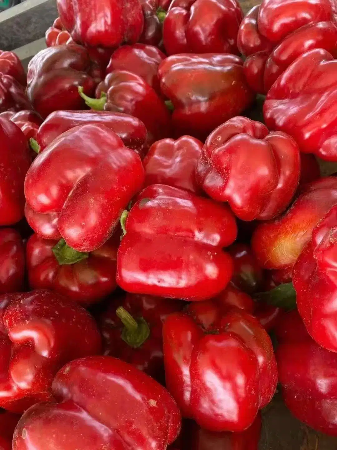 New Crop Brc Certified Frozen Diced Red Pepper