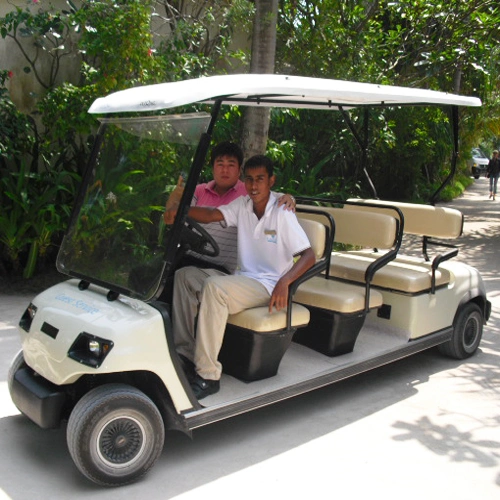 Bateria de lítio Powered Segurança, a baixa velocidade, Pega fácil 11 Seaters Electric Sightseeing Car (LT-A8)