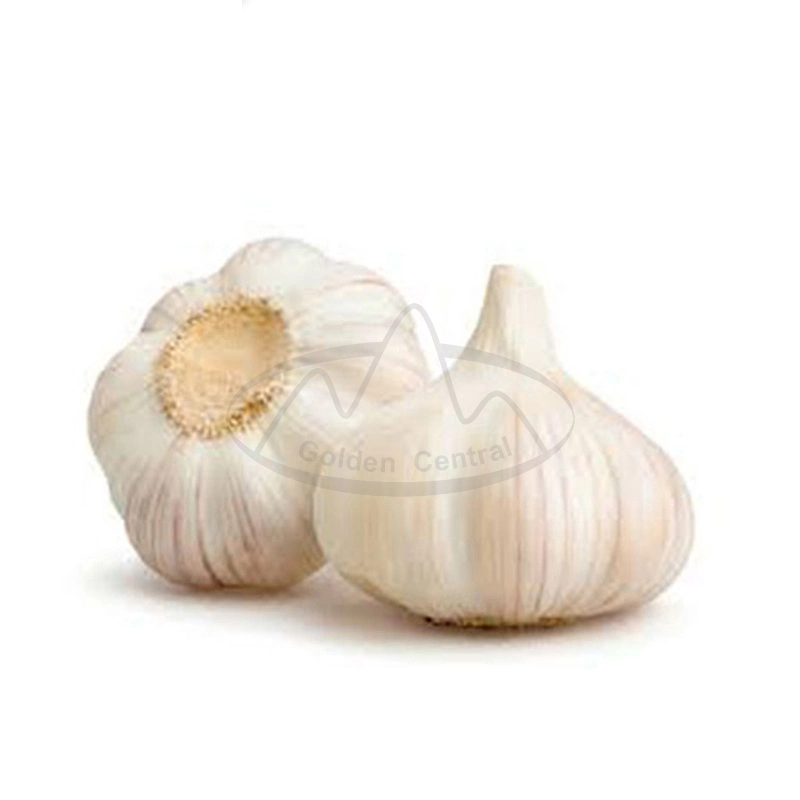 Wholesale/Supplier Fresh Garlic Chinese Supplier Shandong Garlic Fresh Dried White Garlic